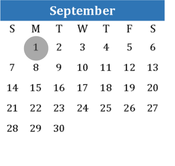 SEC Filing Deadline